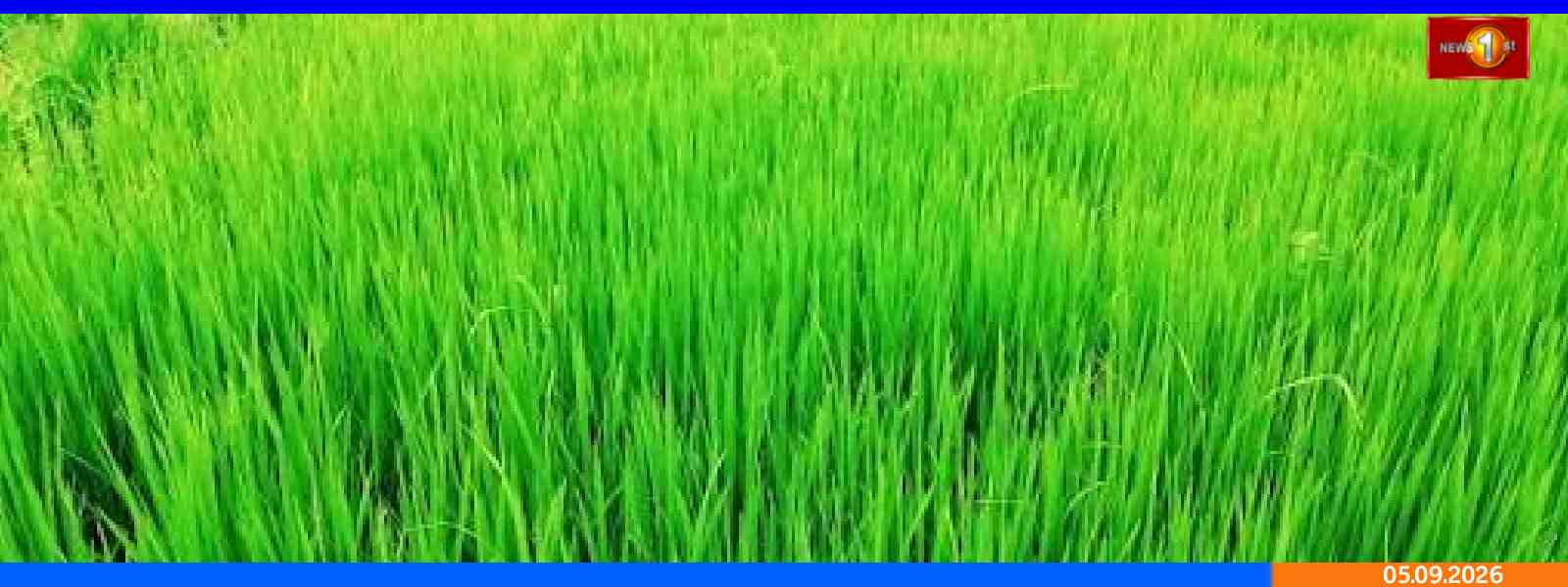 பருவமழைக்கு முன் நெற்செய்கையை முன்னெடுக்க திட்டம்